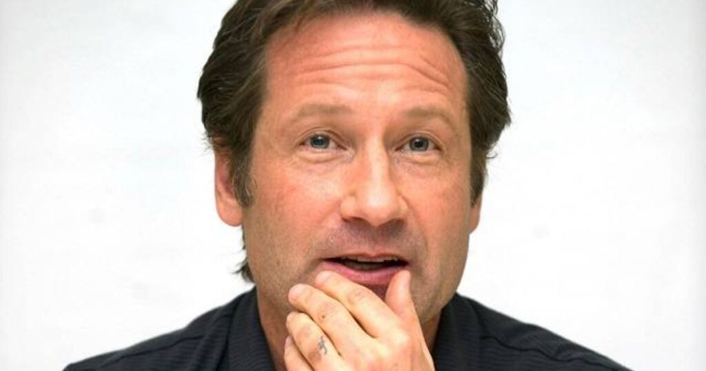 David Duchovny’s Impressive Net Worth