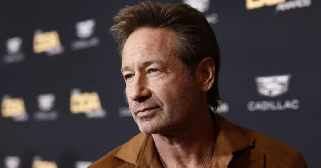 david duchovny's net worth
