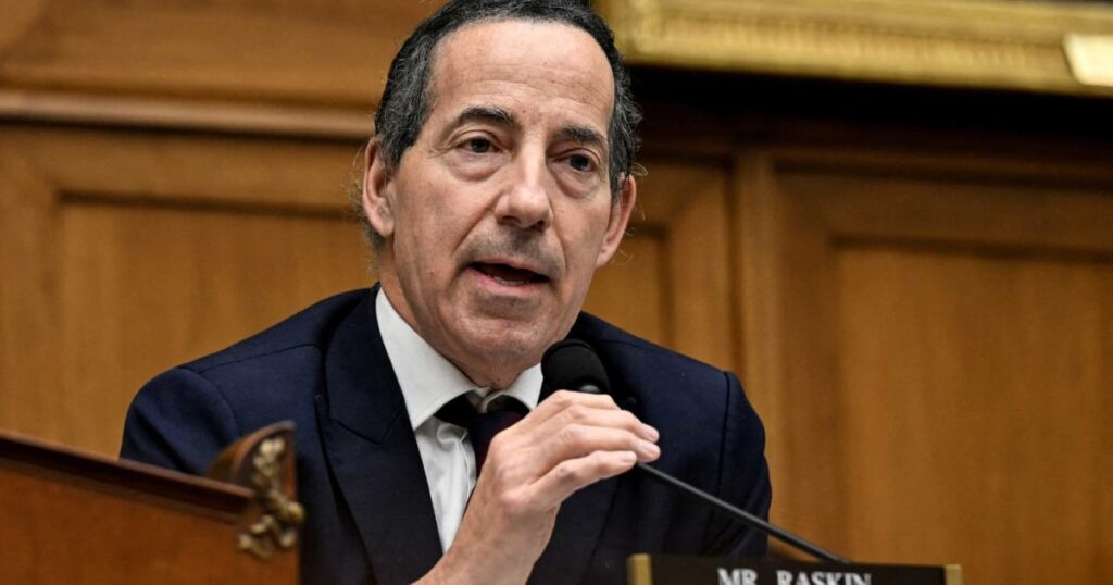 jamie raskin net worth 2026