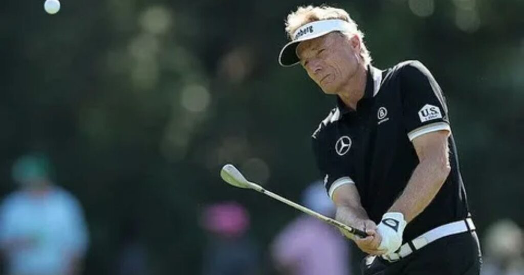 langer net worth