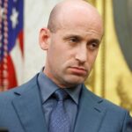 Stephen Miller Net Worth
