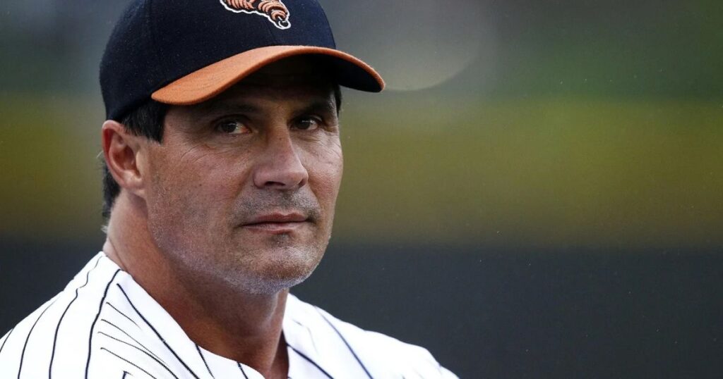 jose canseco's net worth

